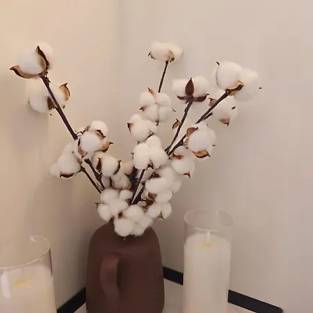 Apartment Marevista Escape